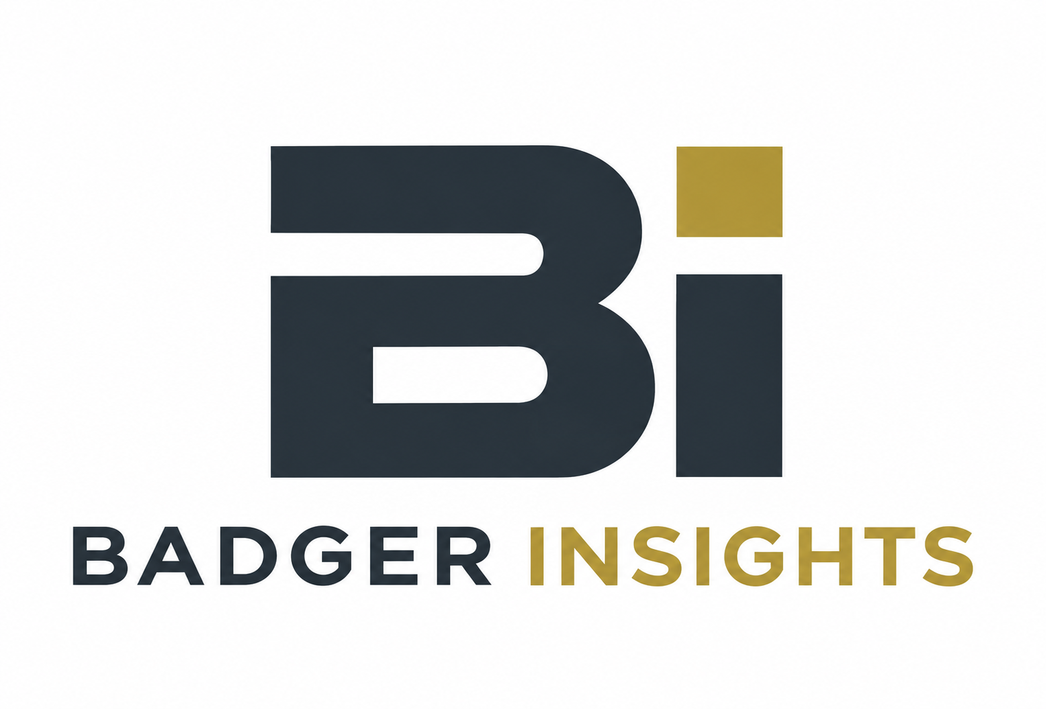 Badger Insights